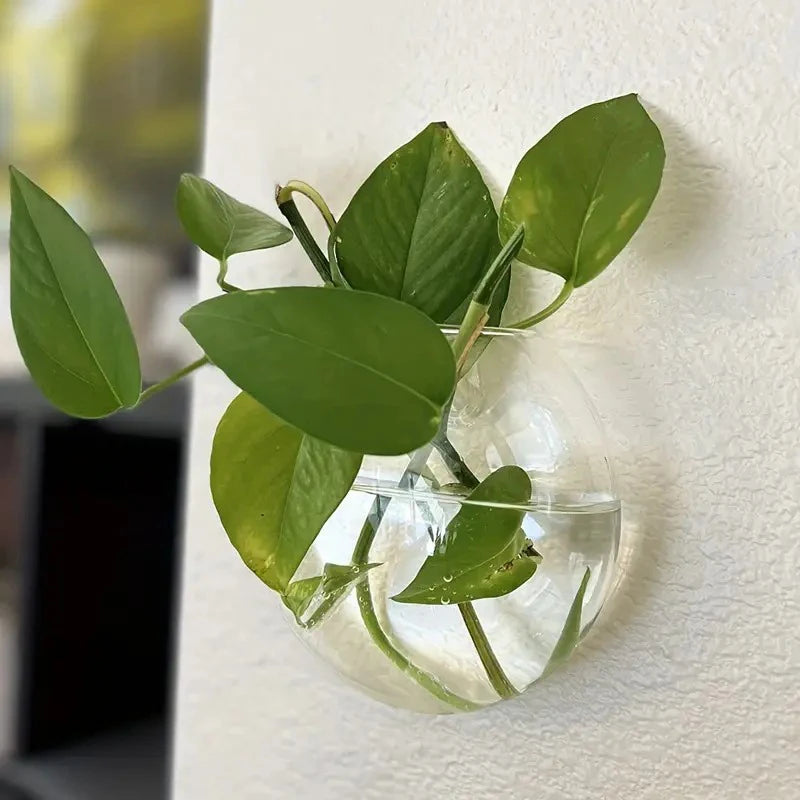 Wall-Mounted Flower Vases