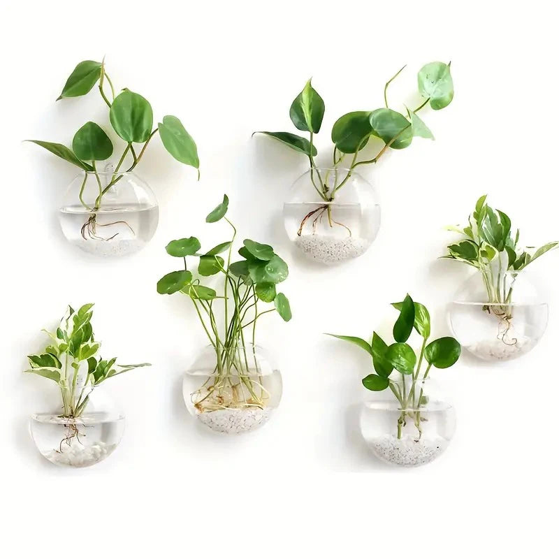 Wall-Mounted Flower Vases
